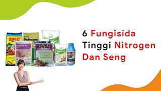 Interaksi Fungisida dan Pupuk 6 Fungi Tingkatkan Serapan Nitrogen dan Zinc [upl. by Ikkir227]