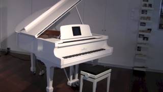 Magic Bechstein Grand Piano with Selfplayingsystem [upl. by Zeph]