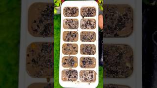 dairy milk chocolate and milk recipeshortvideo recipe howtomakechocolatemilkshake [upl. by Oniratac815]