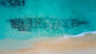 Diving WW2 Wrecks in Coron Philippines  We Crash [upl. by Helenka513]