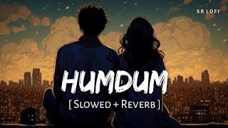 Humdum Slowed  Reverb  Vishal Mishra  Savi  SR Lofi [upl. by Ybbed]