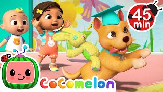 Best of BINGO  Doggie Daycare amp Puppy Play 🐶  MORE CoComelon Nursery Rhymes amp Songs [upl. by Dabbs]