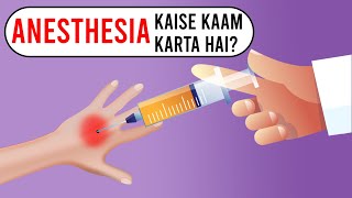 एनेस्थीसिया कैसे काम करता है  How Anesthesia Works [upl. by Zerk]