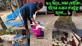 ৫২ দিনেসাদা বেইজিং হাঁসের ওজন কতটুকু হলো🦆 [upl. by Kotick]