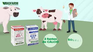 SOROFarm polivitamínico energético e antitóxico que garante a saúde do seu animal [upl. by Agiaf45]