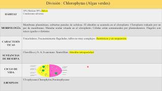 Cuadro comparativo de algasBIOPEDIA [upl. by Shlomo]