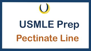 USMLE Prep Pectinate Line [upl. by Sandeep]