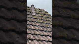 Making a roof brand new again pressurewashing roofcleaning satifying amazing zing [upl. by Bena724]