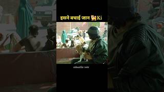 South movie South new movie South Hindi movie South new release movies South movies explain [upl. by Htebzile697]