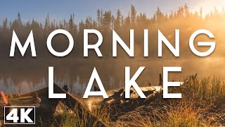 MORNING LAKE  Relaxation Sleep Focus amp Meditation [upl. by Toomay99]