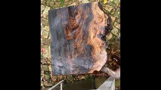 Clear Coat Wood Slab Time Lapse ✨ subscribe for more ✨ [upl. by Shirah517]