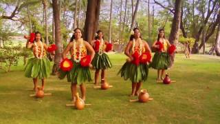 Beautiful Hula  Polynesian Dancers [upl. by Braca]