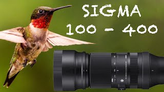 SIGMA 100  400 SONY E MOUNT IN 2023  Review [upl. by Ellened]