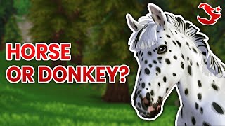 THE NEW APPALOOSA HORSE SPOILERS  Star Stable Online [upl. by Yenahpets]