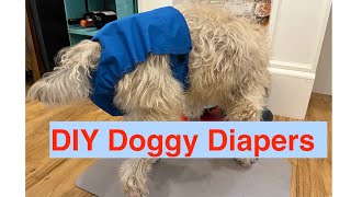 DIY Dog Diapers urinary incontinence Its a game changer [upl. by Ainesej846]