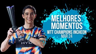 Vicecampeonato no WTT Champions Incheon 2024  Melhores Momentos Hugo Calderano [upl. by Acinorav]