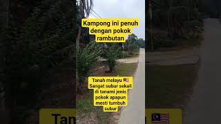 tanah Melayu Malaysia sangat subur sekali di tanami jenis pokok apa² boleh tumbuh subur [upl. by Meeki434]