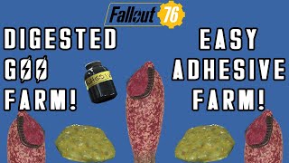 How To Get Digested Goo  Fallout 76 Easy Adhesive Guide [upl. by Howland715]