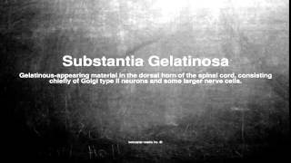 Medical vocabulary What does Substantia Gelatinosa mean [upl. by Elylrac]