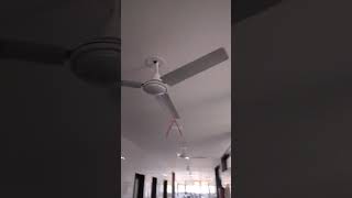 Fire alarm system cable work addressable SEWP SERVICES Pvt Ltd mahaveer Hospital sumerpur Rajasthan [upl. by Akinet952]