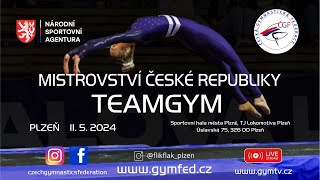 MČR TEAMGYM 2024  JUNIOR I amp II [upl. by Boyce179]