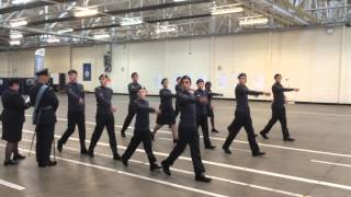 317 Failsworth Sqn  ACO Corps Drill and Banner Competition 2015 [upl. by Delmor]