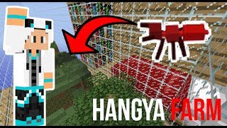 HANGYÁK LETTÜNK 🐼 Minecraft MAPOK 2 rész [upl. by Ilajna]