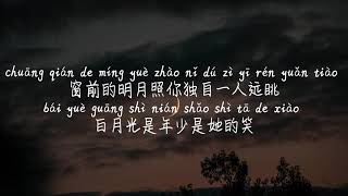 【白月光与朱砂痣大籽】BAI YUE GUANG YU ZHU SHA ZHIDA ZI TIKTOK抖音틱톡Pinyin Lyrics 拼音歌词 병음가사No AD 无广告 [upl. by Thornie817]