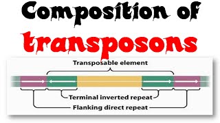 Composition of transposons [upl. by Bernadina]