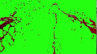 Blood Splatter Effect  Greenscreen Effect HD   Download Link [upl. by Alane]