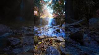 this is kerala  shorts  travelbee  kerala  meghalaya  waterfall [upl. by Linus349]