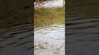 tum sath ho ya na ho kya fark hai। agar tum sath ho natural views of hills। satpuli river uk [upl. by Chamberlin]