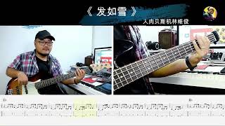 第591期 《发如雪》周杰伦 贝斯翻弹 bass cover 人肉贝斯机林维俊basscover cover bassguitar [upl. by Evonne]