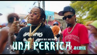 Rochy RD ❌ Kaly Ocho 🎱  Una Perrita 🐩 Remix Video Oficial [upl. by Dreda]