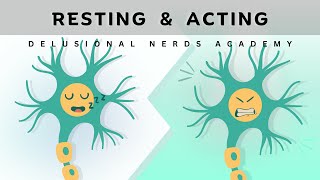 Resting vs Action Potential Simplified Explanation [upl. by Materse930]