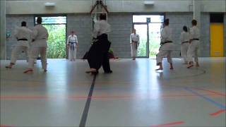 Kobujutsu BudoFieret demonstration part 3wmv [upl. by Hsakaa387]