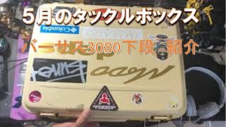 メイホウ バーサス3080 下段の紹介 一軍タックルボックス タックルボックス整理・紹介 [upl. by Novad162]