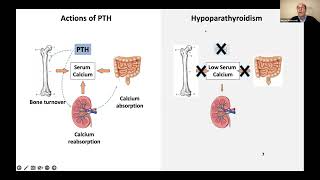 Conventional Treatment of Hypoparathyroidism [upl. by Erik]