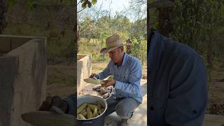 Así se prepara un elote al estilo rancho elote cosecha rancho [upl. by Anayt]