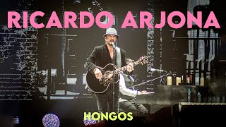 HONGOS  RICARDO ARJONA EN VIVO [upl. by Katzen358]