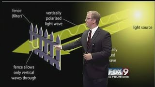 How polarized lenses work [upl. by Gervais]