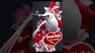 GOOD NIGHT video [upl. by Cigam344]