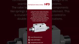 VRDD  PILOT CHECK VALVE FOR DOUBLEACTING CYLINDER WITH DIN2353 CONNECTIONS hydraulicvalve hfd [upl. by Favian835]