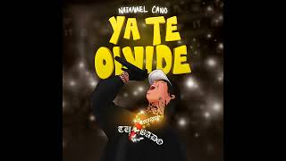 Natanael Cano  Ya Te Olvidé [upl. by Edythe]