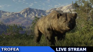 🔴Puchate kulki po raz kolejny SRP  theHunter Call of the Wild Live Stream [upl. by Yeloc]