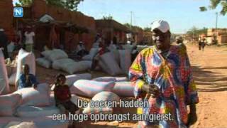 Verwoestijning in Mali  Video [upl. by Kieran]