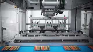 Fully automatic packaging line from Schubert Robots place sweets in plastic trays [upl. by Bamford636]