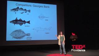 To Save Our Fisheries Eat Like a Fish Sarah Schumann at TEDxProvidence 2013 [upl. by Nyllek]