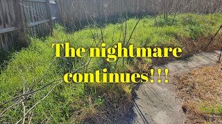 The most OVERGROWN lawn I have EVER done  part 6  path reveal and slashing grass [upl. by Nolrah]