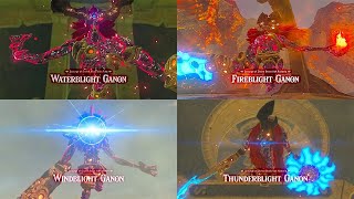 Blight Ganons Breath of the wild vs Hyrule Warriors comparison [upl. by Arocat]